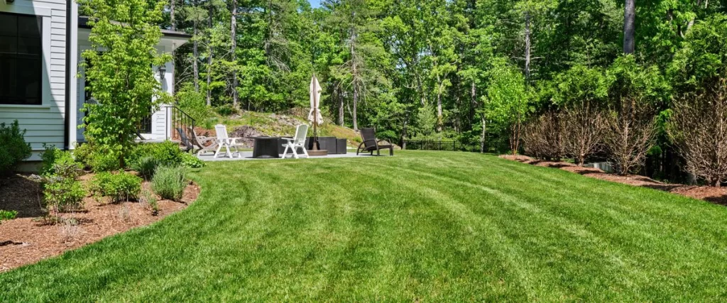 Castle Rock HOA Landscape Rules