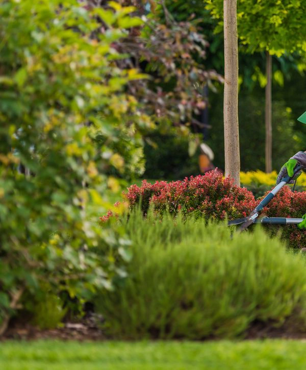 Landscape Designer Contractor in Cherry Creek, CO