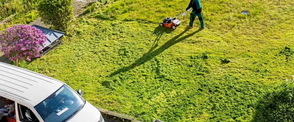 Residential Landscape Design Cost