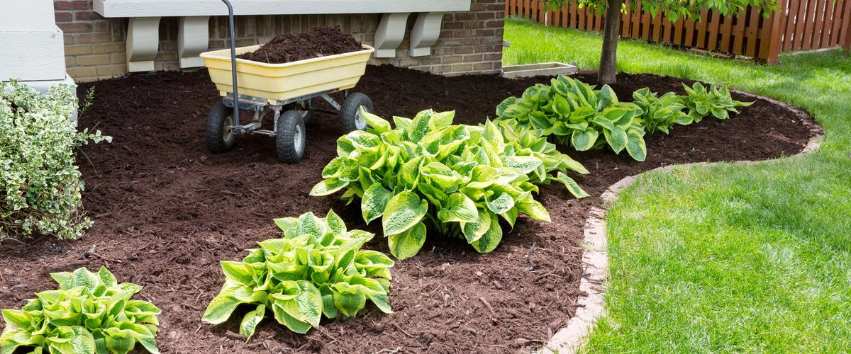 Landscape maintenance company in Denver CO