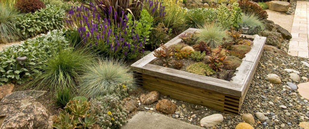 A rustic wooden planter box, used as a raised bed and edging element, filled with succulents and surrounded by lush, drought-tolerant plants and decorative river rock.