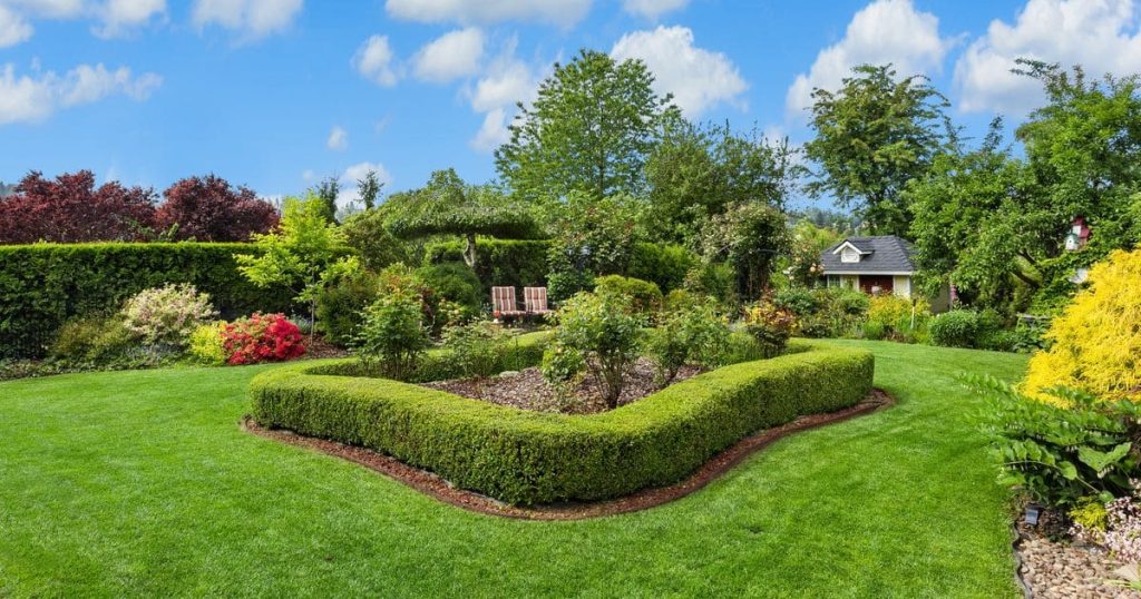 A professionally designed backyard featuring a manicured green lawn, sculpted boxwood hedges, and a variety of blooming flower beds with vibrant shrubs.
