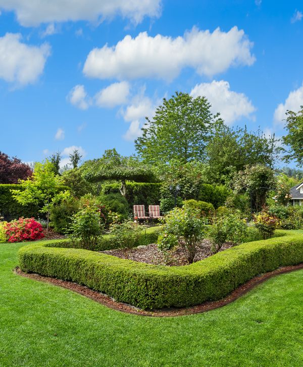 Expansive backyard garden with manicured green hedges, tall trees, and a seating area showcasing professional landscape maintenance.