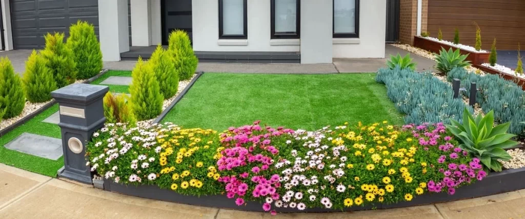 A modern home entrance featuring a long rectangular planter box filled with pink, white, and yellow daisies, flanked by several small conical evergreen trees and a neat lawn.