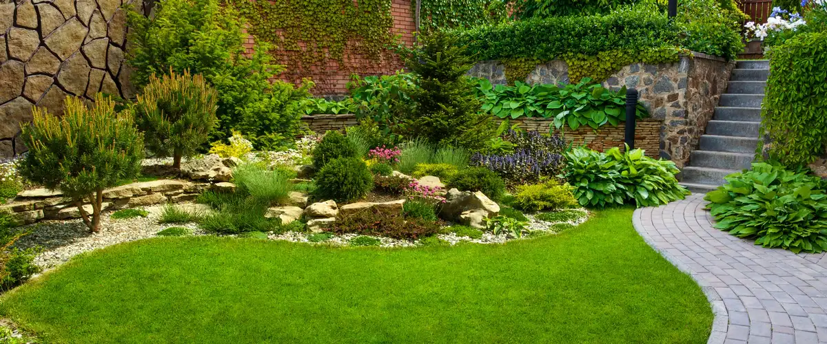 A beautifully manicured residential landscape featuring a vibrant green lawn, a curved grey brick walkway, and a tiered rock garden with various evergreen shrubs and perennials.